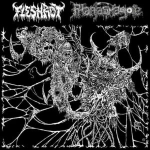 FLESHROT / PHANTASMAGORE – Twisted Visions Of Abominations SPLIT CD