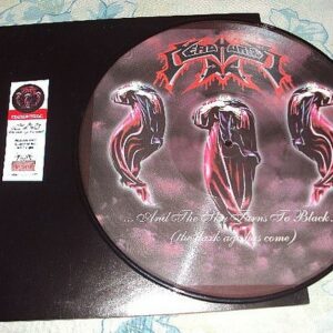 HEADHUNTER D.C. ‎– ...And The Sky Turns To Black... (The Dark Age Has Come) PIC LP
