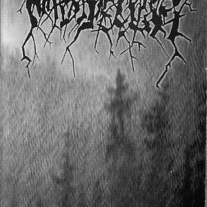 NIDAVELLIR - Wolves Chambers, CASS